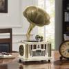 EHVYBDX Record Players, Music Box Phonograph Turntable Wireless Speaker, with Aux-in, FM Radio, USB Port for Flash Drive, G view 3