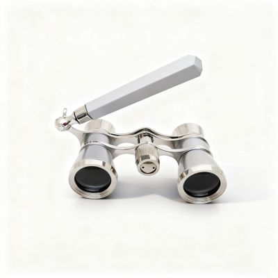3x25 Opera Glasses with Handle & Chain, Compact Theater Binoculars for Adults & Kids, Easy Mini Binoculars for Concerts, Opera, Cinema, Sports and Travel(Silver-gray2)