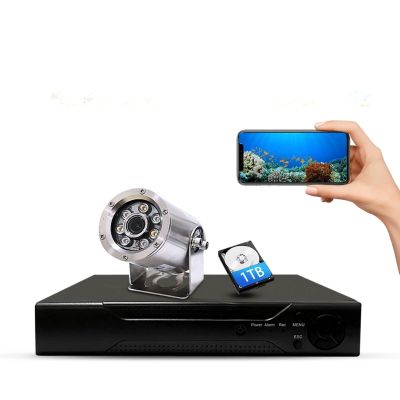 Barlus POE Underwater Camera System with 1TB HDD Underwater IP Camera HD Surveillance Night Vision Easy Remote Access with 66ft Cable