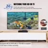 Barlus POE Underwater Camera System with 1TB HDD Underwater IP Camera HD Surveillance Night Vision Easy Remote Access with 66ft Cable view 2