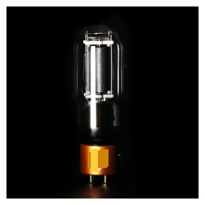 PSKQHIRA Vacuum Tube Rectifier 845-TII Electronic Tube Replacement 845 Vacuum Tube Factory Precise Matching for Amplifier(2 Pcs)