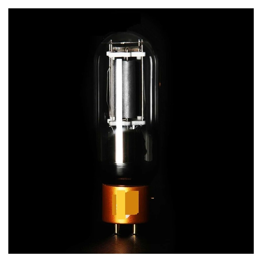 PSKQHIRA Vacuum Tube Rectifier 845-TII Electronic Tube Replacement 845 Vacuum Tube Factory Precise Matching for Amplifier(2 Pcs)
