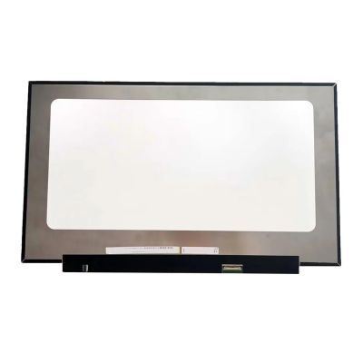 NV173FHM-N49 V8.0 1920x1080 FHD IPS 45% NTSC EDP 30-pin LCD Display 17.3 inch