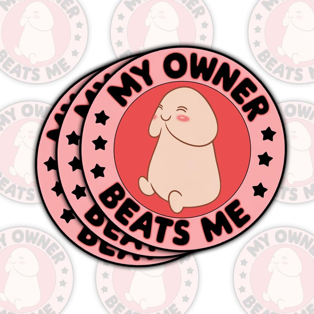 3 Pcs My Owner Beats Me Sticker  Dark Adult Humor Vinyl Decal with Naughty Meme Quote for Laptop Water Bottle Phone Case Tumbler Kindle Hard Hat Quote Decal Gifts 3"x3" 2