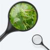 Handheld Magnifying Glass with A Crank Handle for Reading Books and Newspapers view 3