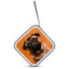 MUSM A Pug CD Case, 40 Capacity CD/DVD Case Holders Large Storage Disc Wallet Bag Wallet Hard Plastic DVD Disc Cases Storage Binder for Car Home Office Travel view 3