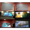 60"-130" Projector Screen Anti-Light Curtains 16: 9 Portable Home 3D Digital Curtain Pojector Projection Screens view 3