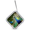FekiLoot Beautiful Peacock CD Case Big Capacity Plastic CD Holder Protective DVD Disc Storage Case Heavy Duty Zipper Protective Movie Media Storage Organizer Binder view 3