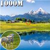 500x25 HD Zoom Binoculars - Portable Folding Design, 5000M Long Distance Viewing, Sharp Images for Hunting, Outdoor Camping & Sports view 4
