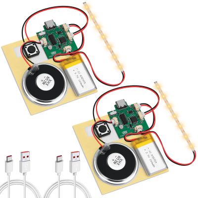 2PCS Customize Recording Module with LED Strip DIY Music Voice Recording Module Chip with Speaker,Type-C Cable,Capability16 Minutes Music for Personalized Greetings, Holiday Crafts Cards with Manual