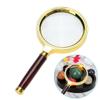 Large Magnifying Glass Magnifier Lens Reading Map Jewelry Loupe 10X view 2