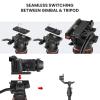 Compatible for DSLR Camcorders, DF6 74" Professional Video Tripod, 3-Section Metal Legs with Panorama Head, 10kg Capacity(DF6 Tripod) view 4