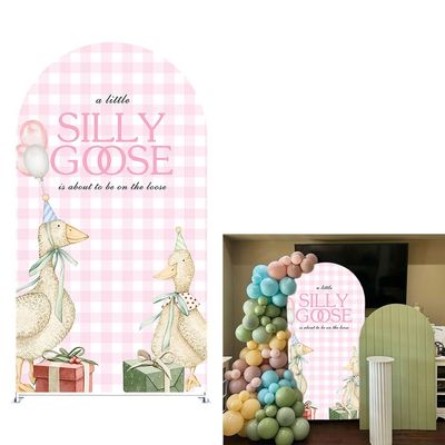 Ittsmnt Arch Backdrop Cover for One Silly Goose Baby Shower Arch Frame Stretchy Cover Pink Plaids Girls 1st Birthday Party Fiesta Decorations (7.2x4ft Cover,78)