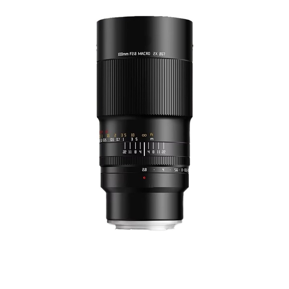 Compatible for Sony E-Mount 100mm F2.8 2X Macro Manual Focus Lens for Insect Photography XF GFX RF EF Z F L Mount Z6 XT100(L-Mount)