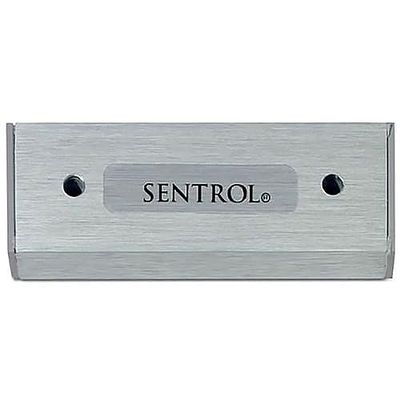 1920-L Standard Magnet for 2505 Series, Magnetic Contact, Security System Component