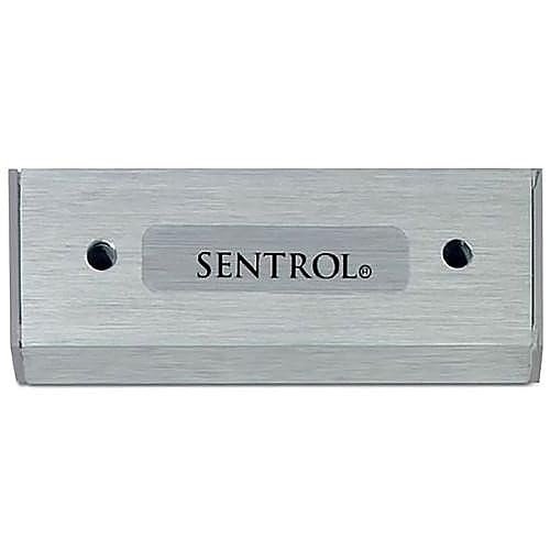 1920-L Standard Magnet for 2505 Series, Magnetic Contact, Security System Component