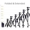 Compatible for Camera, Portable Tabletop Tripod with 360 Ball Head, Lightweight Mini Travel Stand(Black) view 3