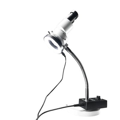 10X Magnification High Definition Binocular Microscope Electronic 5W LED Lighting Inspection Microscope with Dust Cover