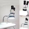 10X Magnification High Definition Binocular Microscope Electronic 5W LED Lighting Inspection Microscope with Dust Cover view 2