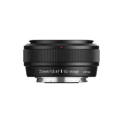 Compatible for Sony E-Mount 25mm F1.8 APS-C Auto Focus STM Portrait Lens X(Black,Z)