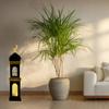 eMart4U Al Minar Masjid Structure with LED Lights & Hilal, MDF Decorative Lighting for Home & Mosque (Black Minar) view 4