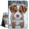 Case for iPad 10.2 iPad 9th Generation 2021/ iPad 8th Generation 2020/ iPad 7th Generation 2019,Slim Soft Shockproof TPU Silicone Protective Back Shell Cas,Cute Dog Snowy view 1
