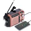 Hand Crank Emergency Weather Radio with 2600mAh/9620mWh Power Bank, NOAA AM FM Shortwave Portable Radio, Solar & USB-C Charging, Flashlight, SOS Alarm for Emergency Kits (Brown) view 1