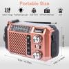 Hand Crank Emergency Weather Radio with 2600mAh/9620mWh Power Bank, NOAA AM FM Shortwave Portable Radio, Solar & USB-C Charging, Flashlight, SOS Alarm for Emergency Kits (Brown) view 2
