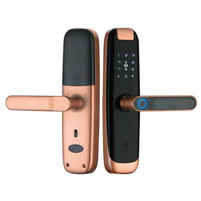 Smart Door Lock WitFingerprint Card Password Key Unlock Emergency Charge(Gris)