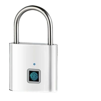BUJXUKEQD Intelligent Fingerprint Padlock, Outdoor Waterproof and Rust Proof Padlock, Intelligent Electronic Padlock Head(Matte Silver)