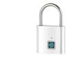 BUJXUKEQD Intelligent Fingerprint Padlock, Outdoor Waterproof and Rust Proof Padlock, Intelligent Electronic Padlock Head(Matte Silver) view 3