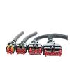 1 Ssts 8 14 23 35 Pin 776273-1 770680-1 776164-1 770680-1 Auto ECU Cablaggio Female Connettore with Wire 18cm(1 Set 8p Female) view 2