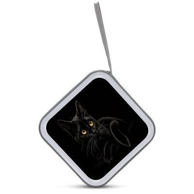 GAPWJNK Cute Black Cat CD Storage Case 40 Capacity DVD Case Holders Disc Wallet Bag for Home Office Travel Car