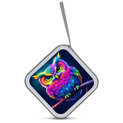 GAPWJNK Owl CD Storage Case 40 Capacity DVD Case Holders Disc Wallet Bag for Home Office Travel Car