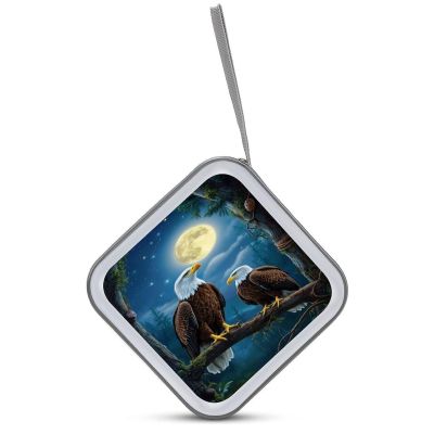 GAPWJNK Eagle Moon Forest CD Storage Case 40 Capacity DVD Case Holders Disc Wallet Bag for Home Office Travel Car