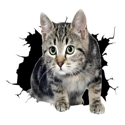2 PCS 3D Cat Break Through Wall Vinyl Decals, Waterproof Removable Stickers for Laptops, Cars, Trucks, Bumpers,Motorcycles Z-159