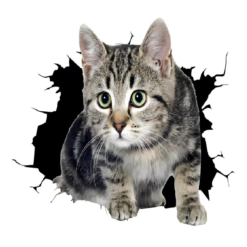2 PCS 3D Cat Break Through Wall Vinyl Decals, Waterproof Removable Stickers for Laptops, Cars, Trucks, Bumpers,Motorcycles Z-159