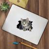2 PCS 3D Cat Break Through Wall Vinyl Decals, Waterproof Removable Stickers for Laptops, Cars, Trucks, Bumpers,Motorcycles Z-159 view 2