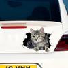 2 PCS 3D Cat Break Through Wall Vinyl Decals, Waterproof Removable Stickers for Laptops, Cars, Trucks, Bumpers,Motorcycles Z-159 view 3