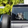 2 PCS 3D Cat Break Through Wall Vinyl Decals, Waterproof Removable Stickers for Laptops, Cars, Trucks, Bumpers,Motorcycles Z-159 view 4
