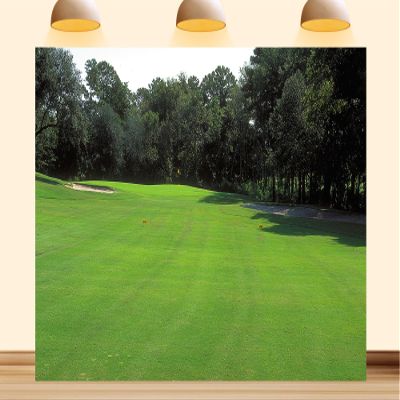 10X8ft Fabric Golf Course Backdrop Green Grass Lawn Party Decorations Golf Sport Blue Sky Background Photo Studio Props