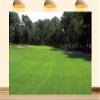 10X8ft Fabric Golf Course Backdrop Green Grass Lawn Party Decorations Golf Sport Blue Sky Background Photo Studio Props view 1