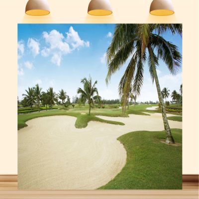 10X8ft Fabric Golf Course Backdrop Beautiful Green Grass Lawn Blue Sky Digital Background Golf Sport Indoor Party Decorations Photo Studio Props