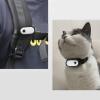 Depisuta Cat Camera Collar with Video Record, 1080P HD Dog Tracker Collar Action Camera, Pet, Small Body Cam Pet Supplies for Outdoor Indoor (128GB) view 4