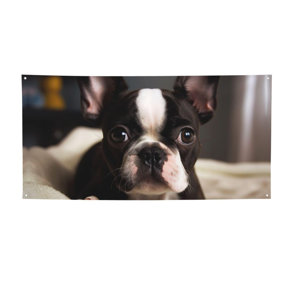 Welcome Banner Cute Boston Terrier Party Flag Photography Backdrop Birthday Background Wall Decor Sign 71 x 35 Inch Photo Props Banner and Sign Flag for Fence Garden Indoor Outdoor Decor Medium
