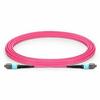 Fiber Jumper MTP (Female) to 4 LC Connector; 6M Length view 1