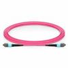 Fiber Jumper MTP (Female) to 4 LC Connector; 4M Length view 1