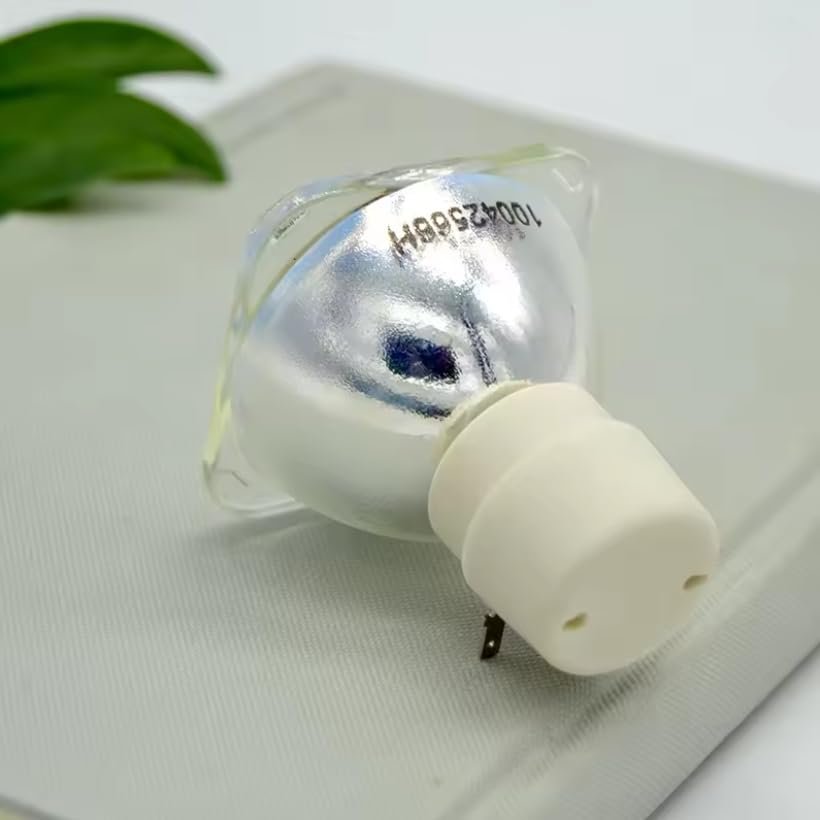 5J.J9R05.001 Replacement Projector Lamp Bulb Compatible with BENQ MS504, MS512H, MS514H, MS521P, MS522P, MS524, MX505, MX522P, MX525, MX570, TS521P Projectors