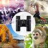 10x25 Compact Binoculars for Adults and Kids, Fordable Binoculars,Small Bird Watching Concerts view 3
