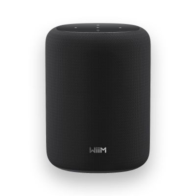 WiiM Sound Lite Smart Speaker, HiRes 24bit/192 kHz, AI RoomFit Room Correction, 100W Peak, WiFi 6E/Bluetooth 5.3, MultiRoom & Stereo Pairing, Black